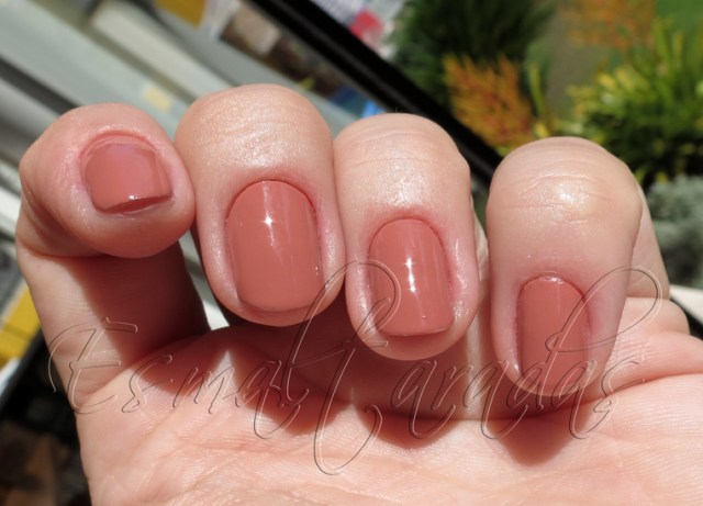 So Much Fawn - Sally Hansen5