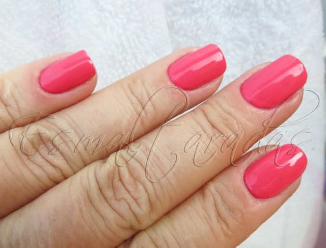 Creamy Fuchsia - Jordana4