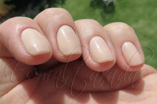 Beige Élegant - Bourjois3