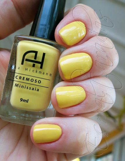 Minissaia - Ana Hickmann