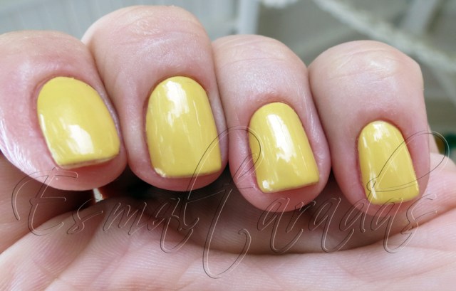 Minissaia - Ana Hickmann3