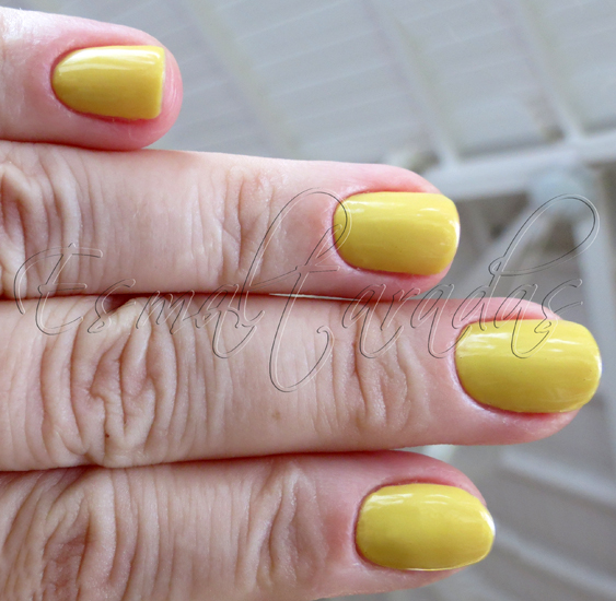 Minissaia - Ana Hickmann4