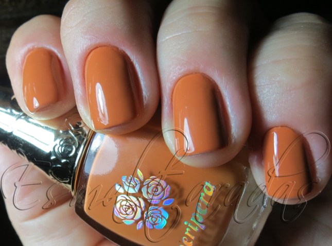 Neutral Orange - Peripera OR 408 2