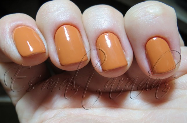 Neutral Orange - Peripera OR 408 3