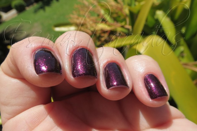 Winter Affair - Color Club2