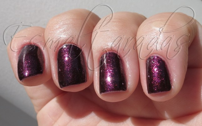 Winter Affair - Color Club3