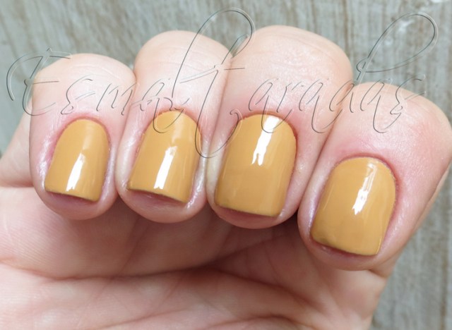 Aura Angora - Barielle2