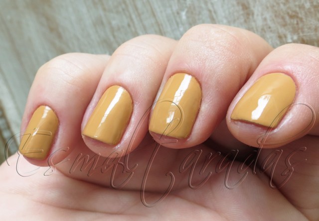 Aura Angora - Barielle4