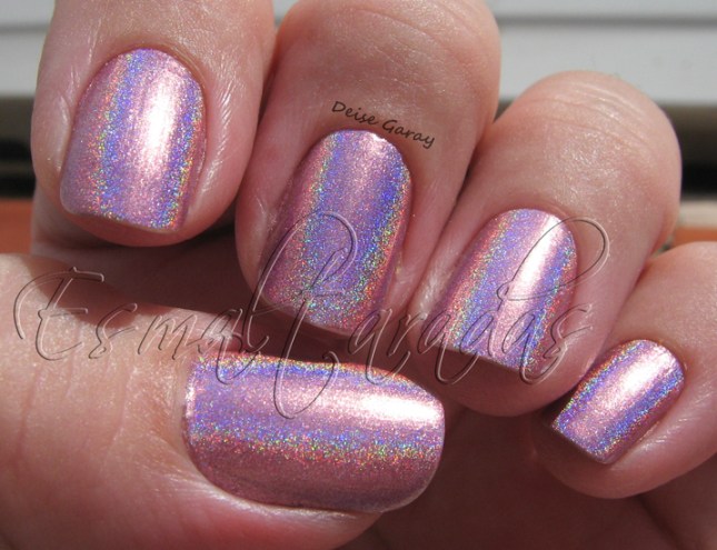 halo-graphic - color club 001