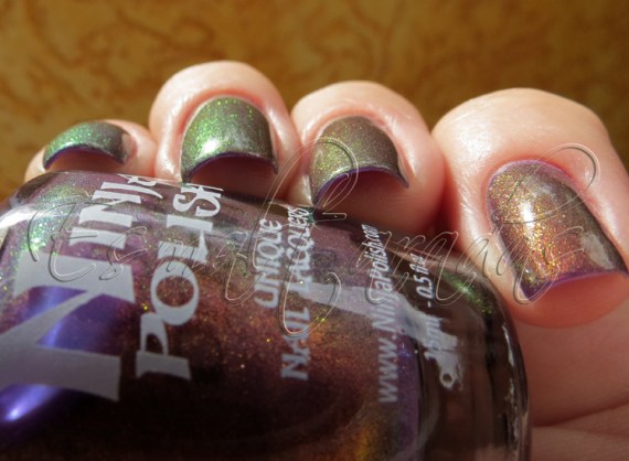 Divinity - Ninja Polish2