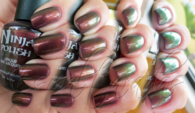 Divinity - Ninja Polish3