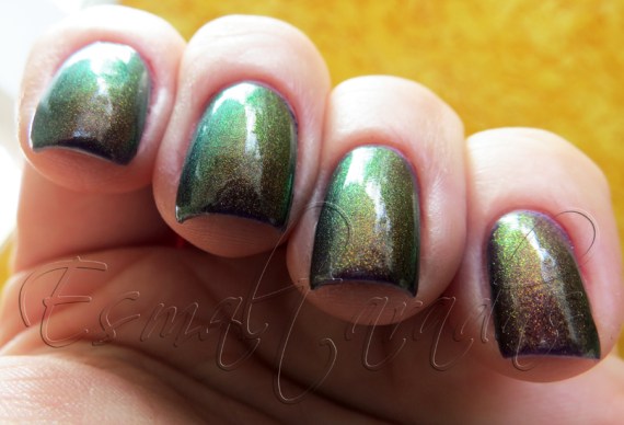 Divinity - Ninja Polish4