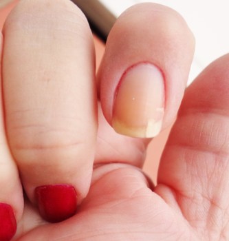 gumdrop - sation 001