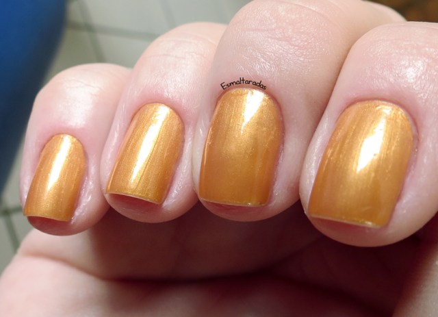 Amsterdã - Super Pérola5