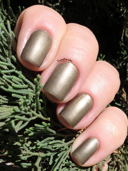 Charmoso - Super Pérola2