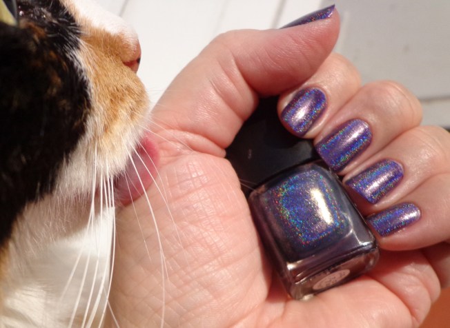 purple 11 - born pretty 006