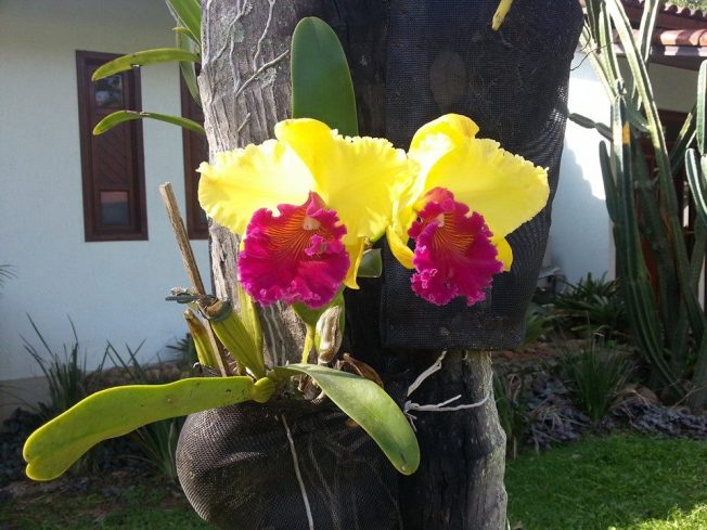 1395148_10202291264702243_1604088226_n