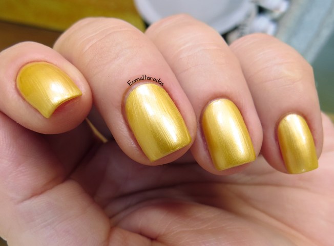 Caça Níquel - Passe Nati3