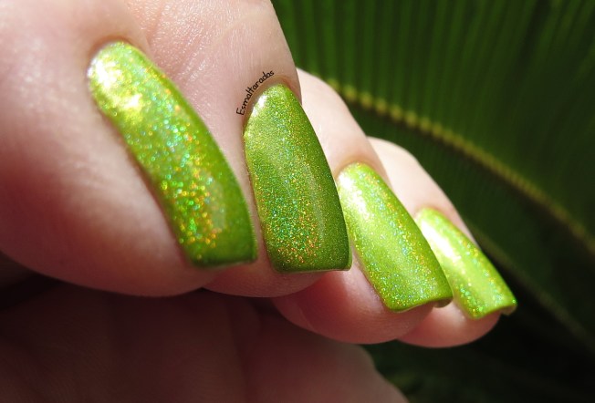 Oasis - Jade3