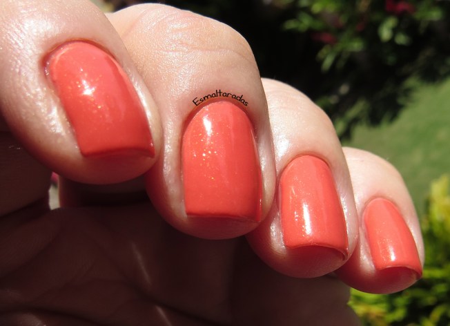 Sol Forte - Super Pérola3