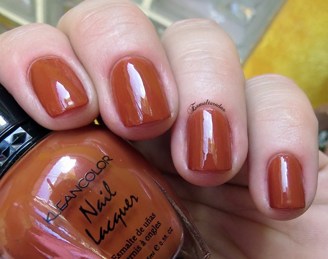 Brown - Kleancolor2