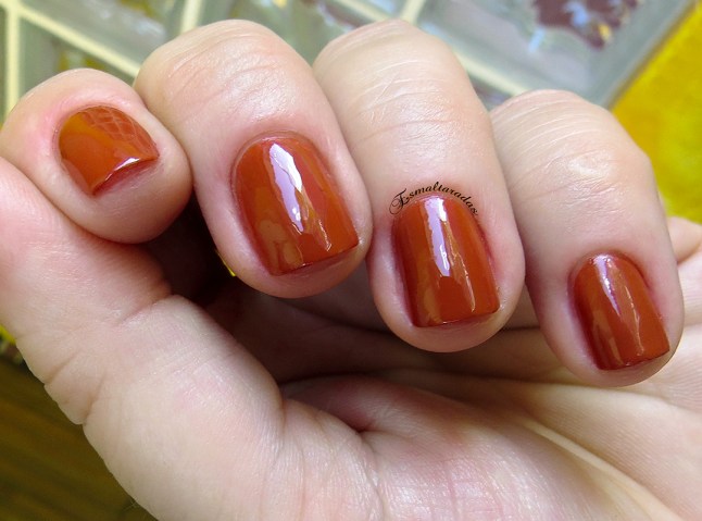 Brown - Kleancolor4