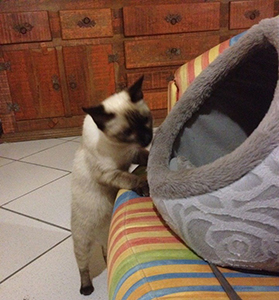 970012_629904353758687_2355612481756047858_n