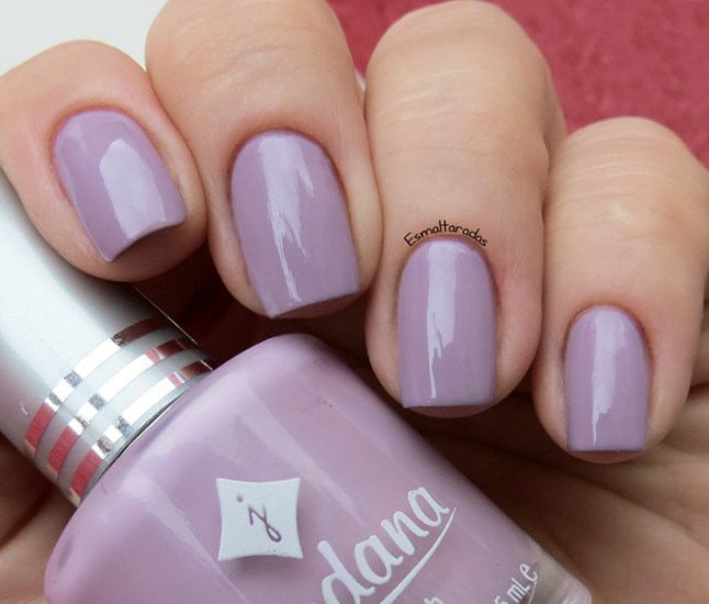 Lavender Fields - Jordana2