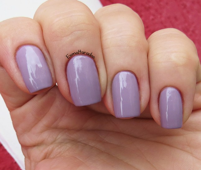 Lavender Fields - Jordana3