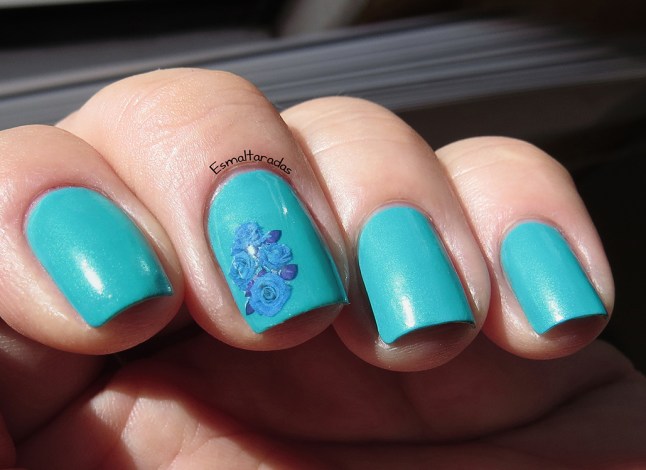 Blue Steel - Bonita2