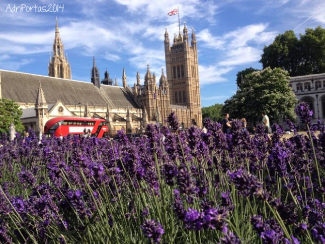 Houses of Parliament