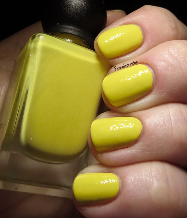 Sunlit Grass - Revlon2