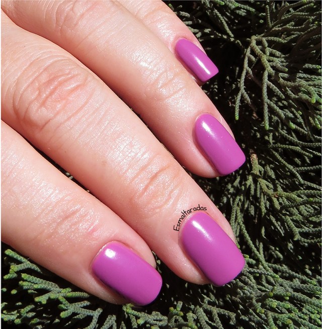 Clima Tropical - Impala