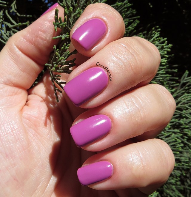 Clima Tropical - Impala2