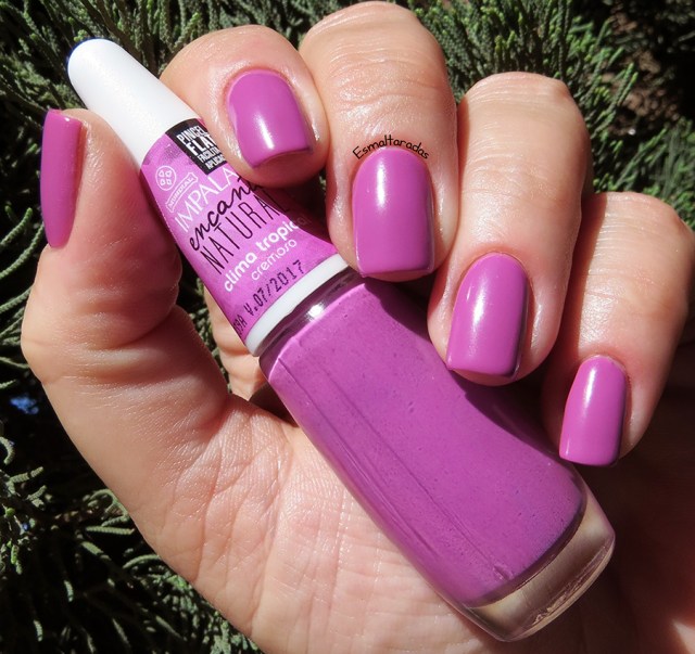 Clima Tropical - Impala4