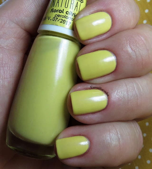 Floral Cítrico - Impala3