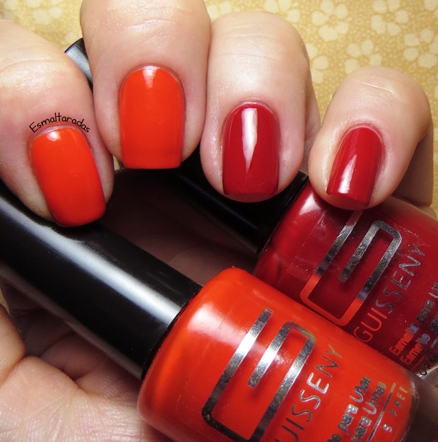 Petit e Nimes - Guisseny4