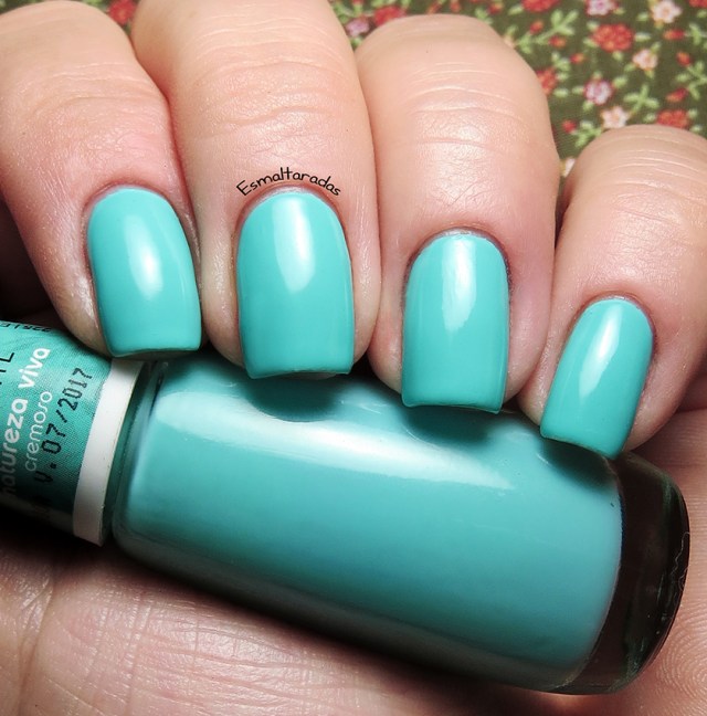 Natureza Viva - Impala2