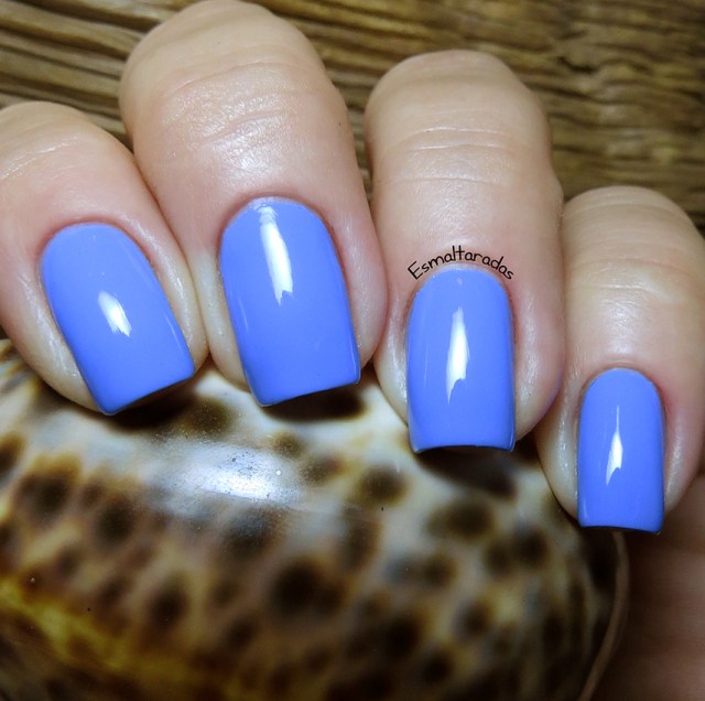 Swagger - Picture Polish2