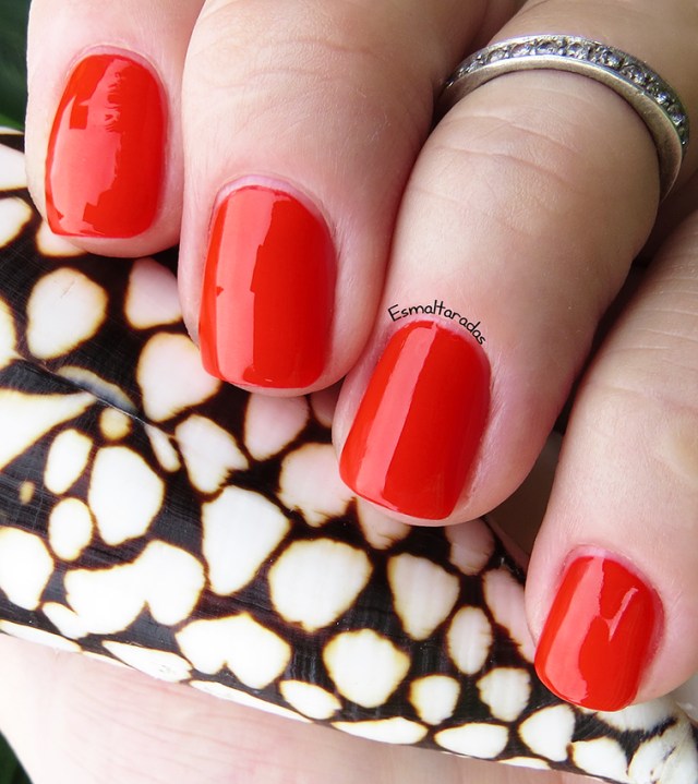 Abafa o Caso - Impala2