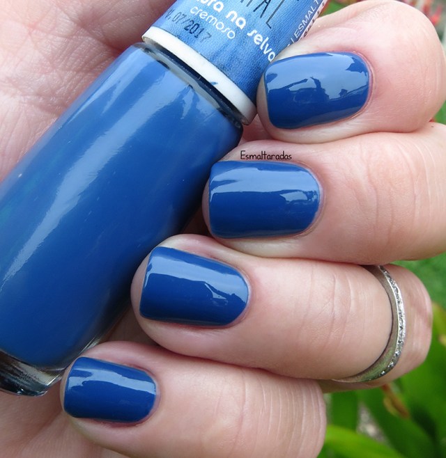 Aventura na Selva - Impala3