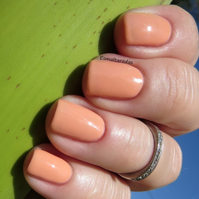 Abricot Ouaté - Bourjois2