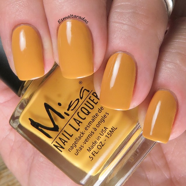 Silly Daffodils - Misa2