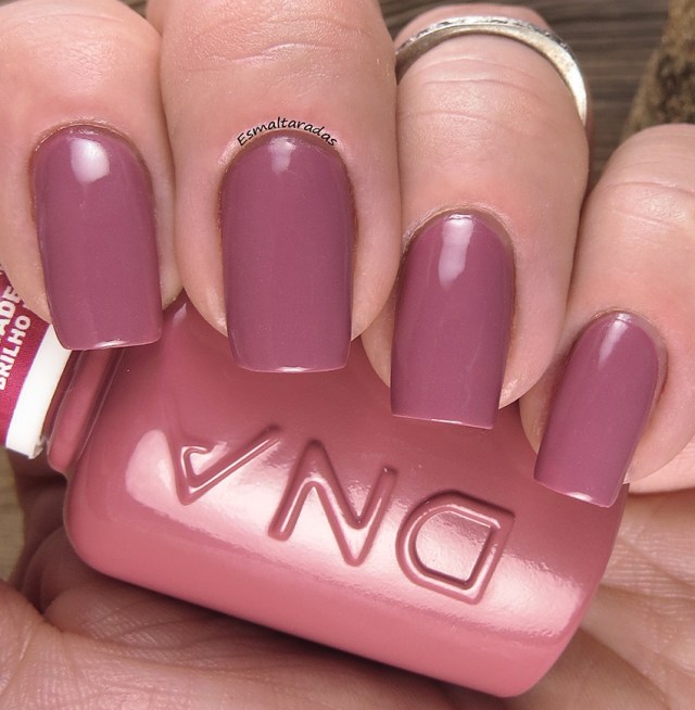 Blush Hibrido - DNA Italy2