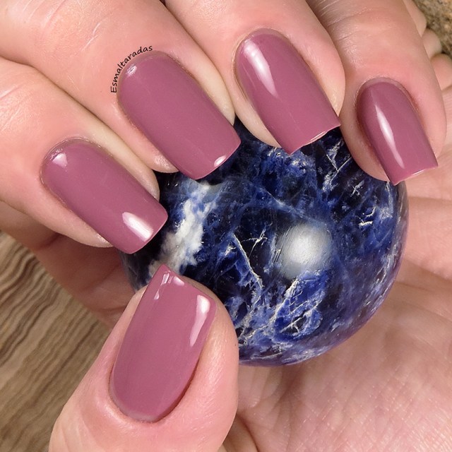 Blush Hibrido - DNA Italy3