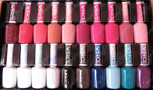 Evolution Hibrido DNA Italy