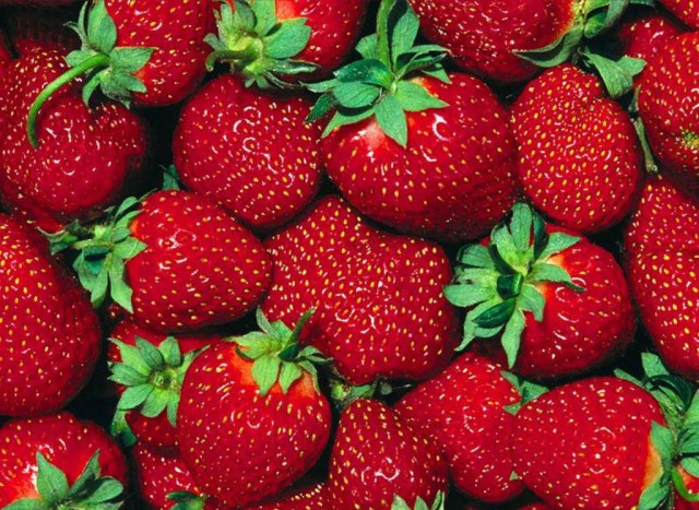fresh-red-strawberries-fruit-wallpapers-1024x768