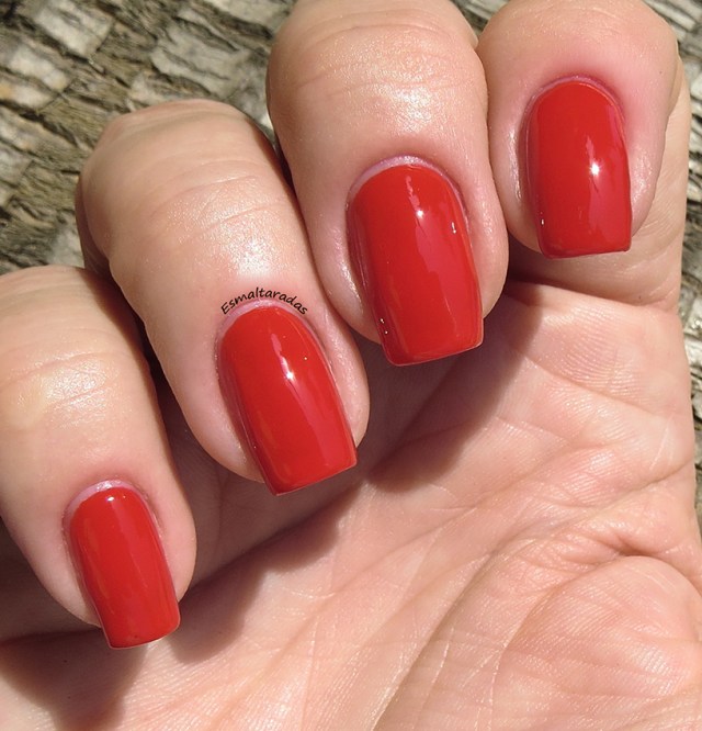 Frutas Vermelhas - Vult3