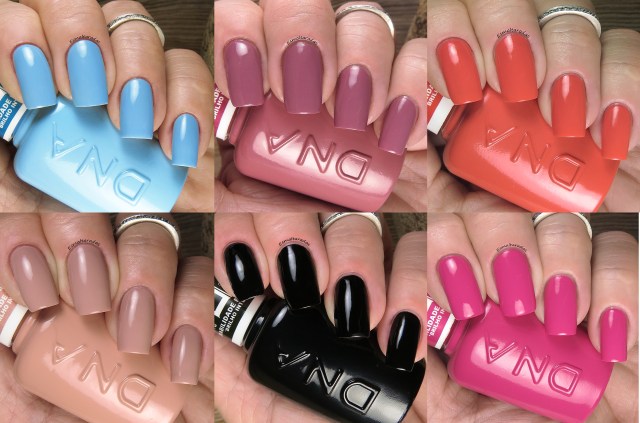 Hibridos - DNA Italy2