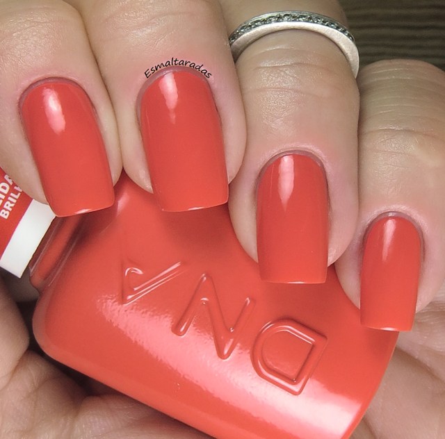 Look Hibrido - DNA Italy